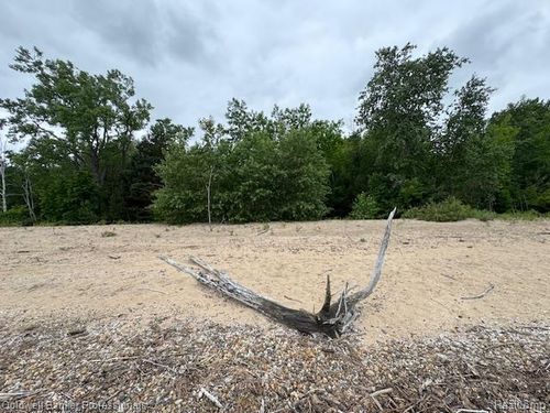 00 Lakeshore Rd, Forestville, MI, 48434 | Card Image