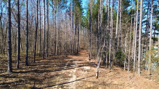 1120 Sulphur Creek Rd, Home with 0 bedrooms, 0 bathrooms and null parking in Big Sandy TN | Image 13