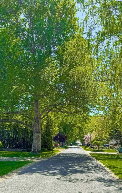 1032 Elm St, Prosser, WA, 99350-1016 | Card Image
