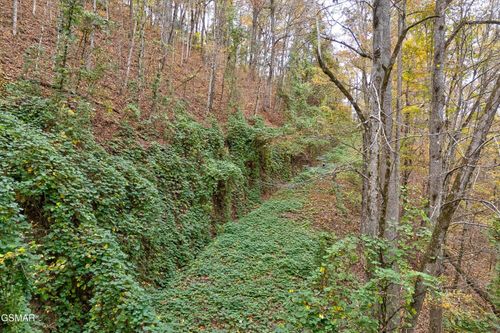 123 Timber Grove Road, Sevierville, TN, 37862 | Card Image