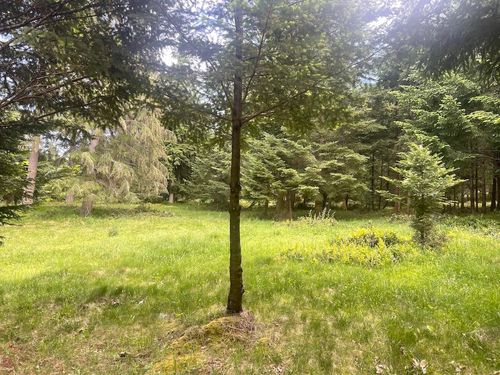 1830 Seymour Rd, Gabriola, BC, V0R1X6 | Card Image