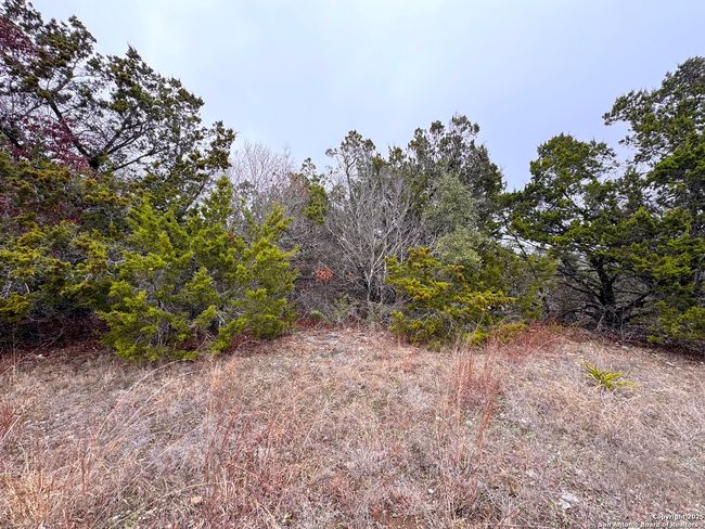 0 Atlantis Ave, Home with 0 bedrooms, 0 bathrooms and null parking in Spring Branch TX | Image 12