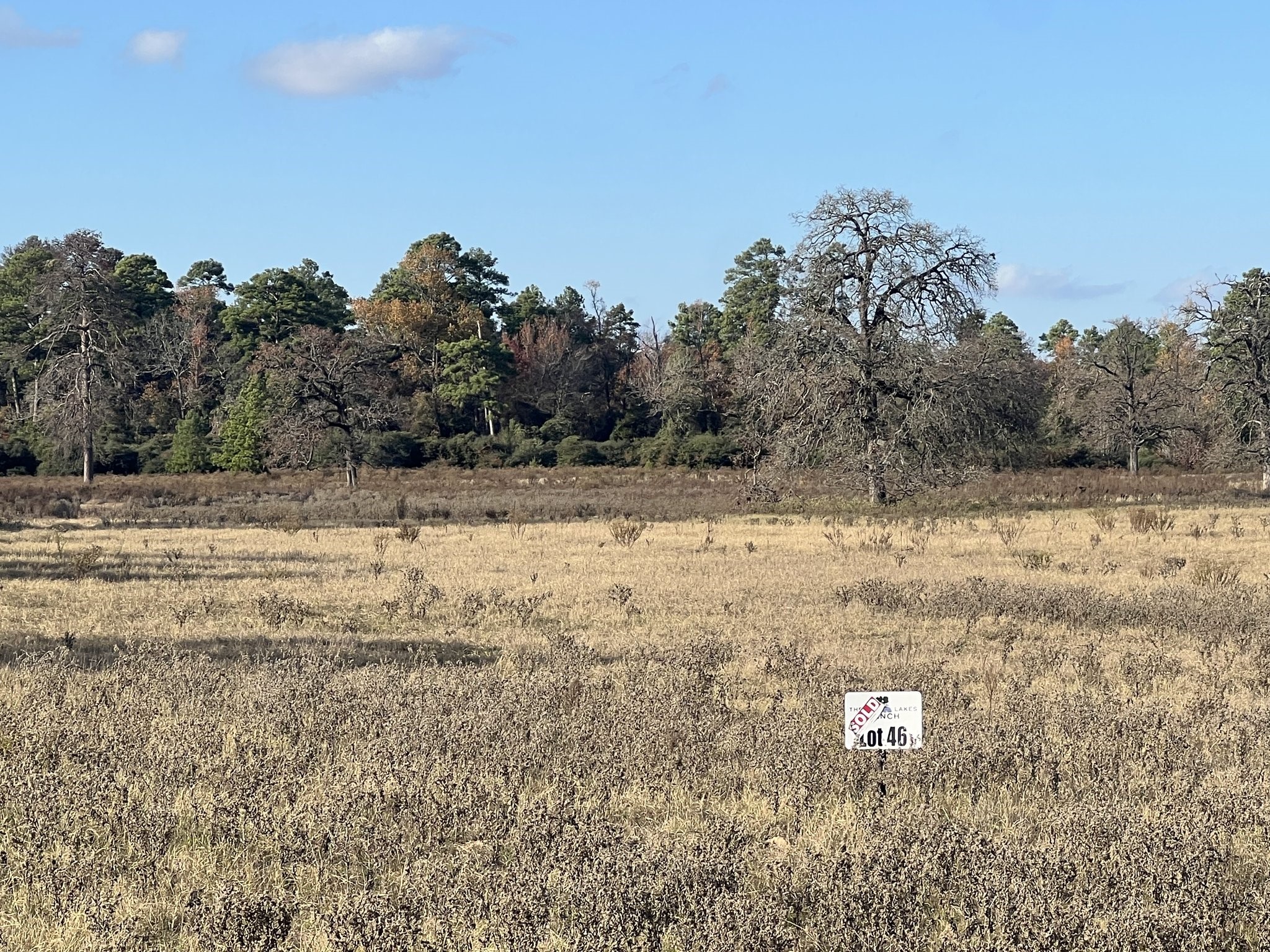 Land in Centerville 4