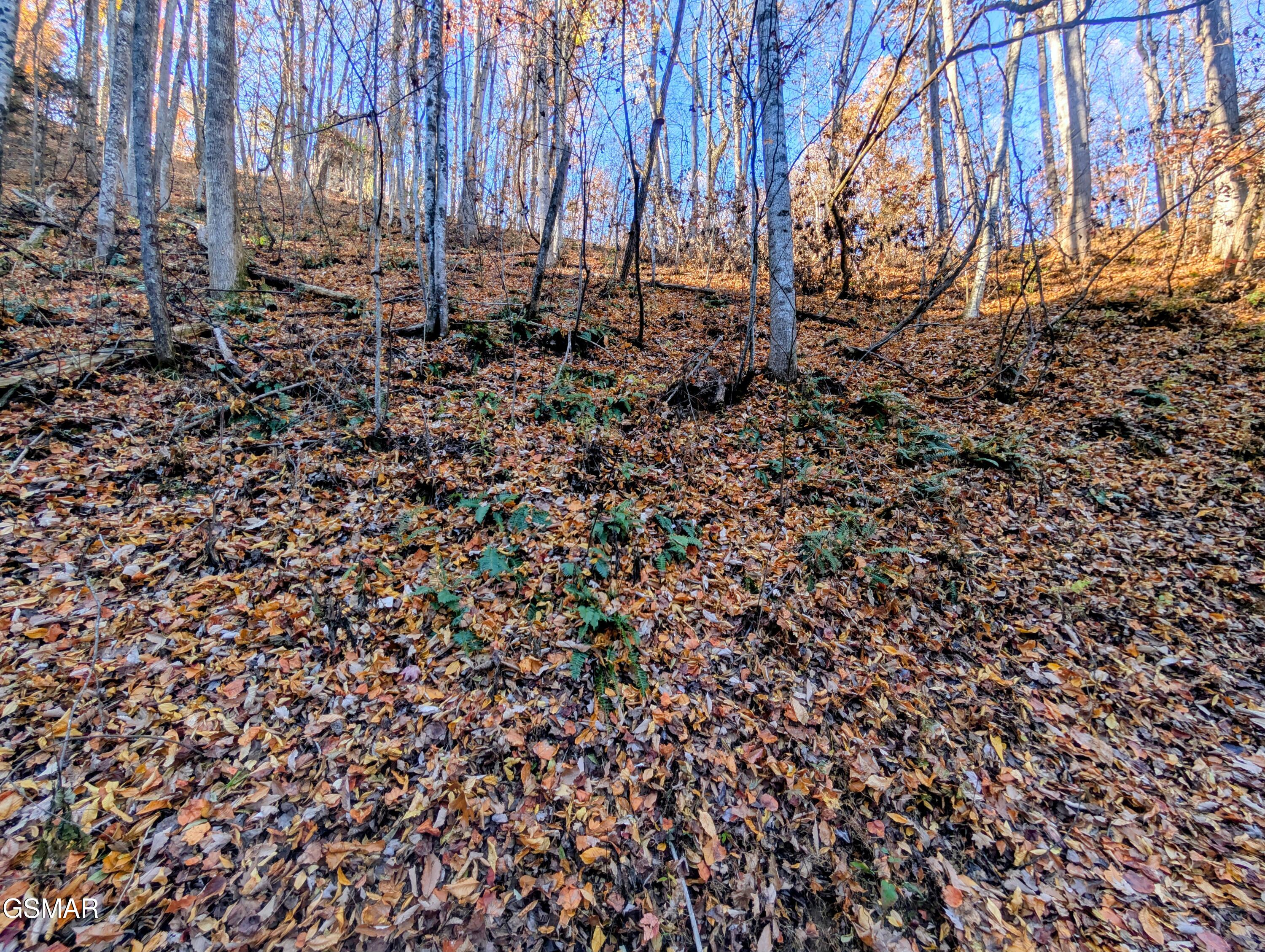 Land in Sevierville 3