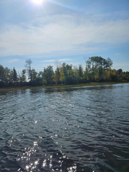 14 Hooper Creek Loop Nw, Baudette, MN, 56623 | Card Image