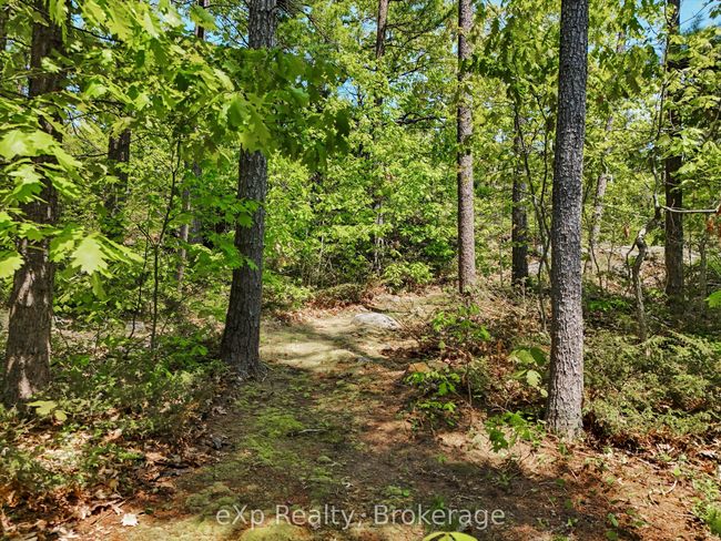 6646 1040 Little Beausoleil Island, House other with 2 bedrooms, 2 bathrooms and null parking in Georgian Bay ON | Image 30