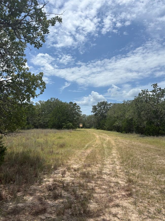 clearing with deer feeder | Image 16