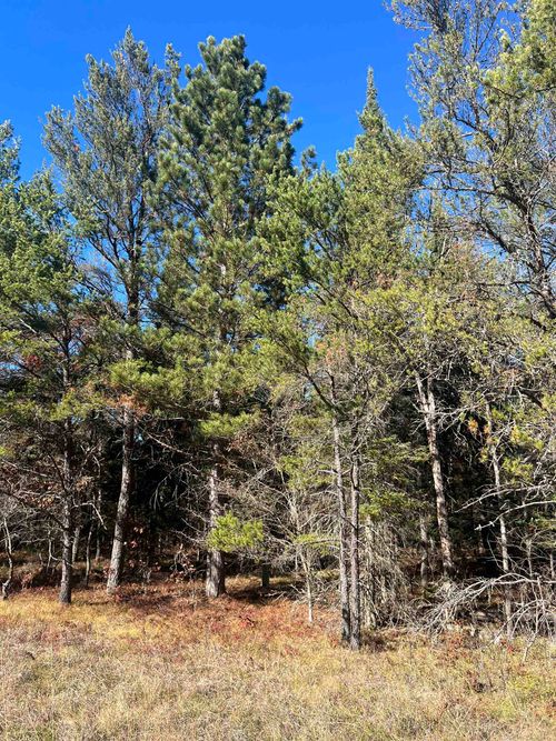 00 E North Down River Rd, Grayling, MI, 49738 | Card Image