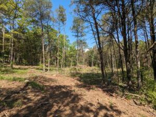 27B & 28B Shelby Lane, Home with 0 bedrooms, 0 bathrooms and null parking in Cecil AR | Image 38