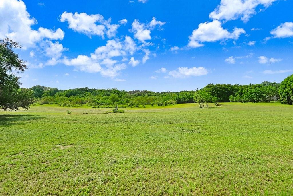 Land in DADE CITY 4