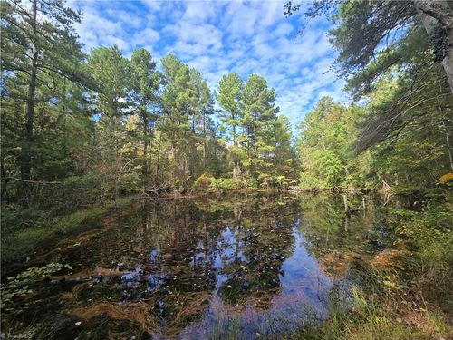 0 Bass Mountain Rd, Snow Camp, NC, 27349 | Card Image