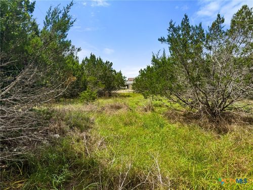 541 Henderson Drive, Spring Branch, TX, 78070 | Card Image