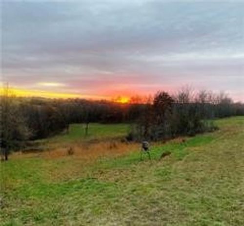 TBD County Road 818, Green Forest, AR, 72638 | Card Image