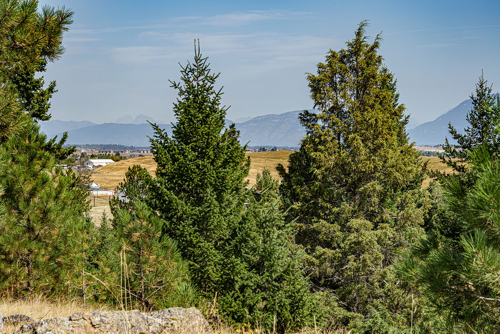 Land in Kalispell 2