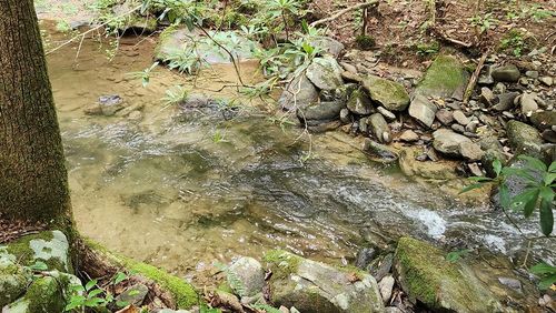 000 Little Rock Creek Rd, Cherry Log, GA, 30522 | Card Image