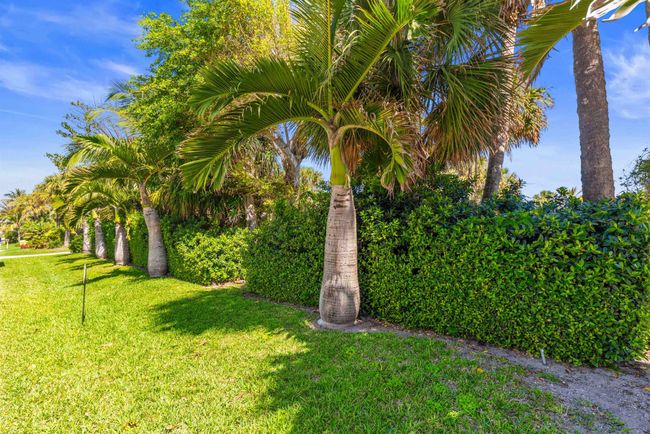 73 Colony Rd, Home with 0 bedrooms, 0 bathrooms and null parking in Jupiter Inlet Colony FL | Image 6
