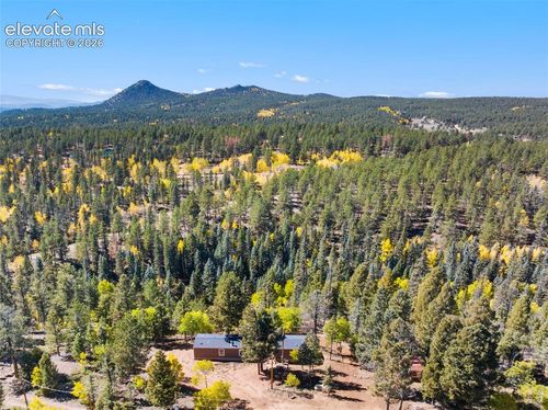 695 Elk Creek Dr, Divide, CO, 80814-8127 | Card Image