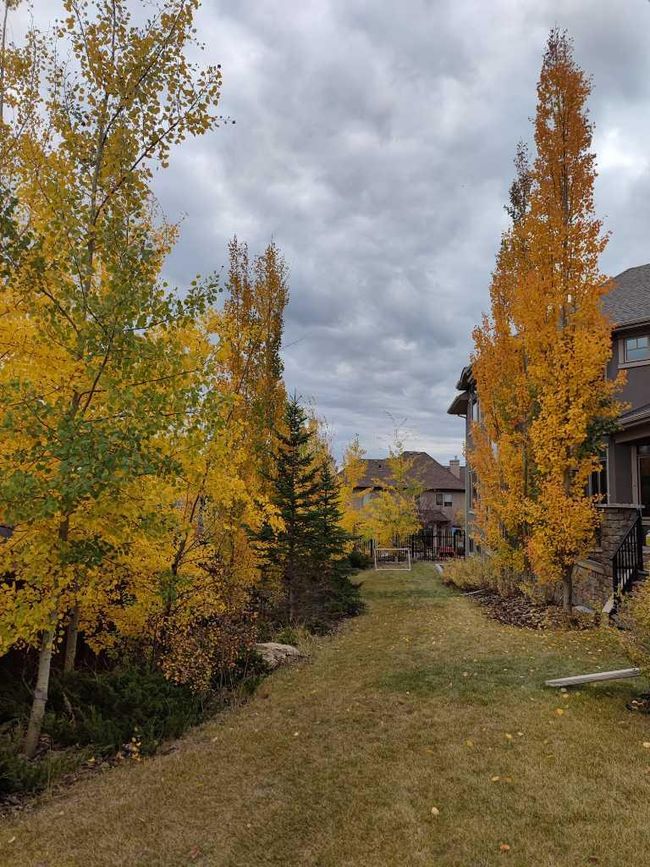 5 Elveden Point Sw, Home with 4 bedrooms, 5 bathrooms and 6 parking in Calgary AB | Image 50