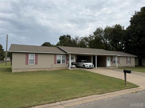 917 & 919 Mott, New Madrid, MO, 63869 | Card Image