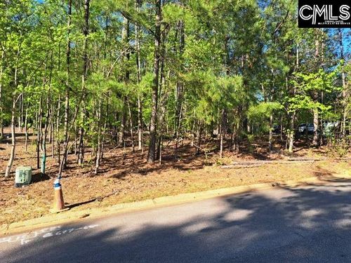 512 Links Pointe Ct, Chapin, SC, 29036-7656 | Card Image