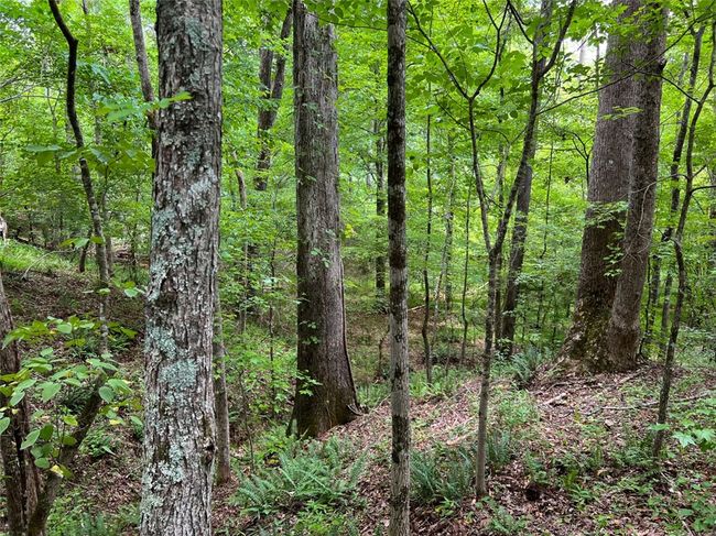 B - 00 Quarter Round Rd, Home with 0 bedrooms, 0 bathrooms and null parking in pacolet SC | Image 23