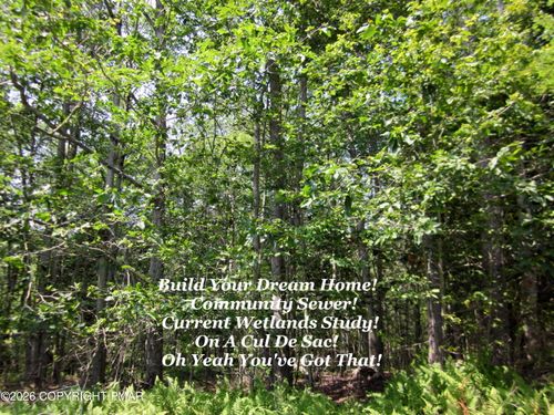 2 Safro Ct, Pocono Lake, PA, 18347 | Card Image