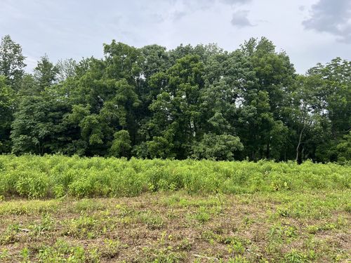 6 Annie Hollow Rd, Westmoreland, TN, 37186-2819 | Card Image