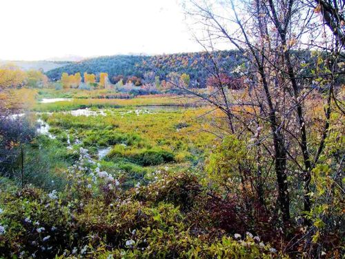 TBD Highway 330, Collbran, CO, 81624 | Card Image