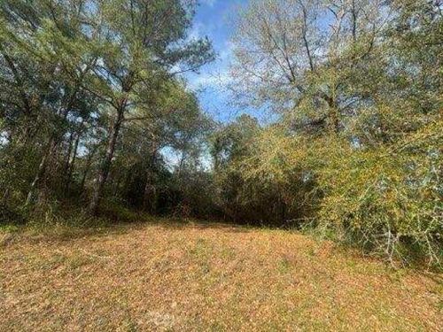 0 Delta Woods Dr, Bay Minette, AL, 36507 | Card Image