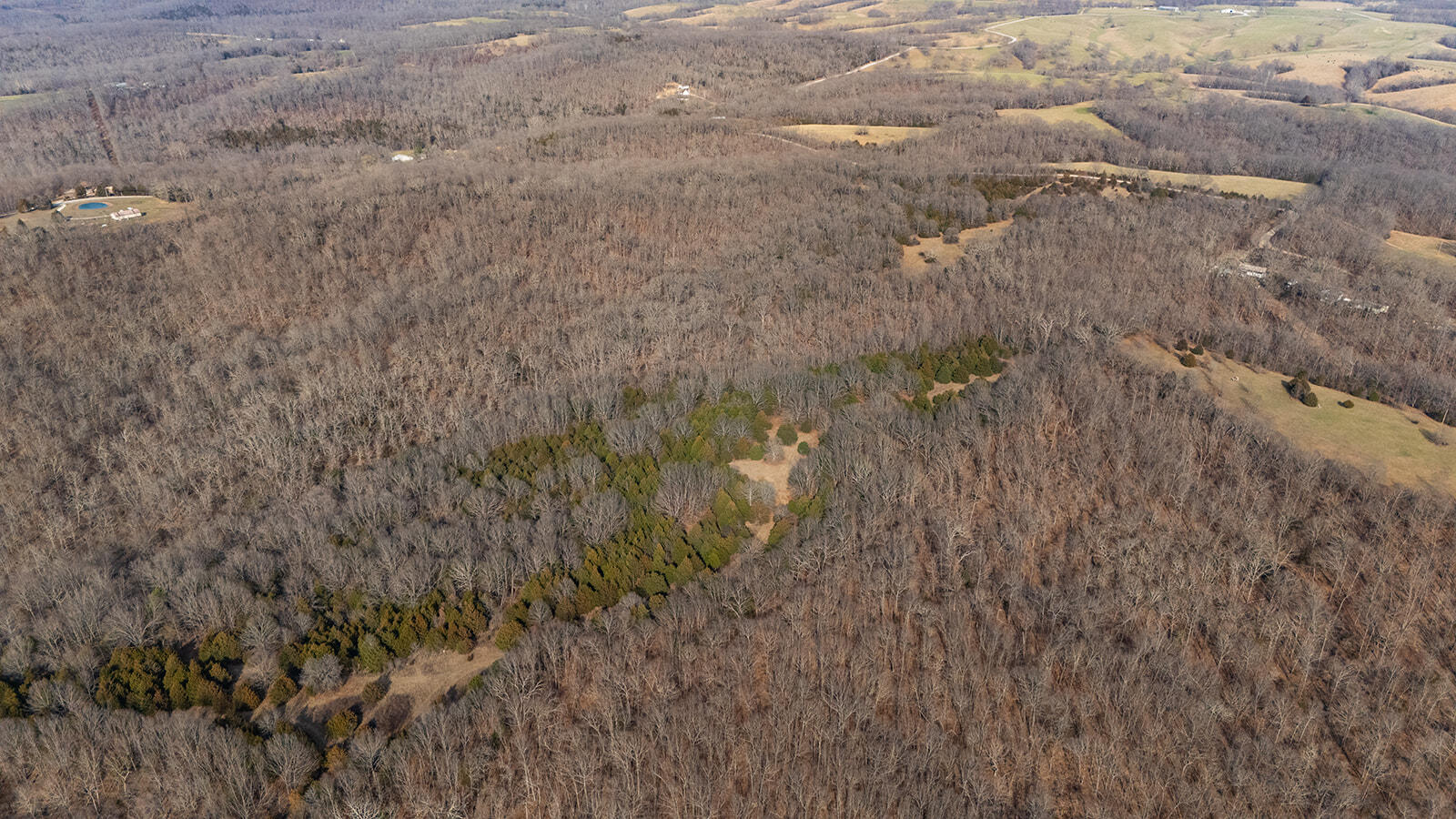 Land in Fordland 3