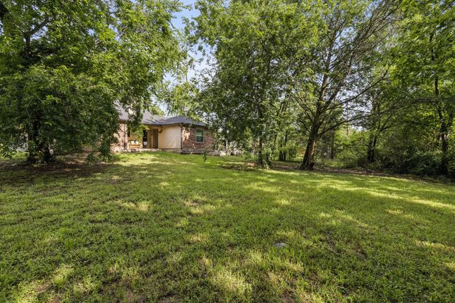View of grassy yard | Image 23