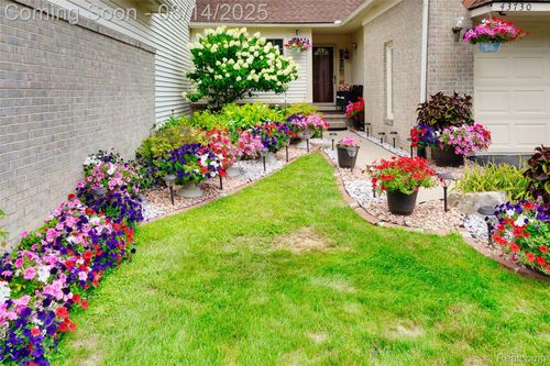 43730 Algonquin Dr, Novi, MI, 48375-5427 | Card Image
