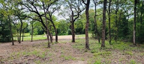 Lot 3 at Adina Church Rd, Thrall, TX, 76578 | Card Image