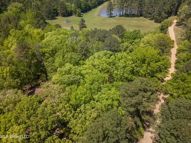 DJI_0513 | Image 37