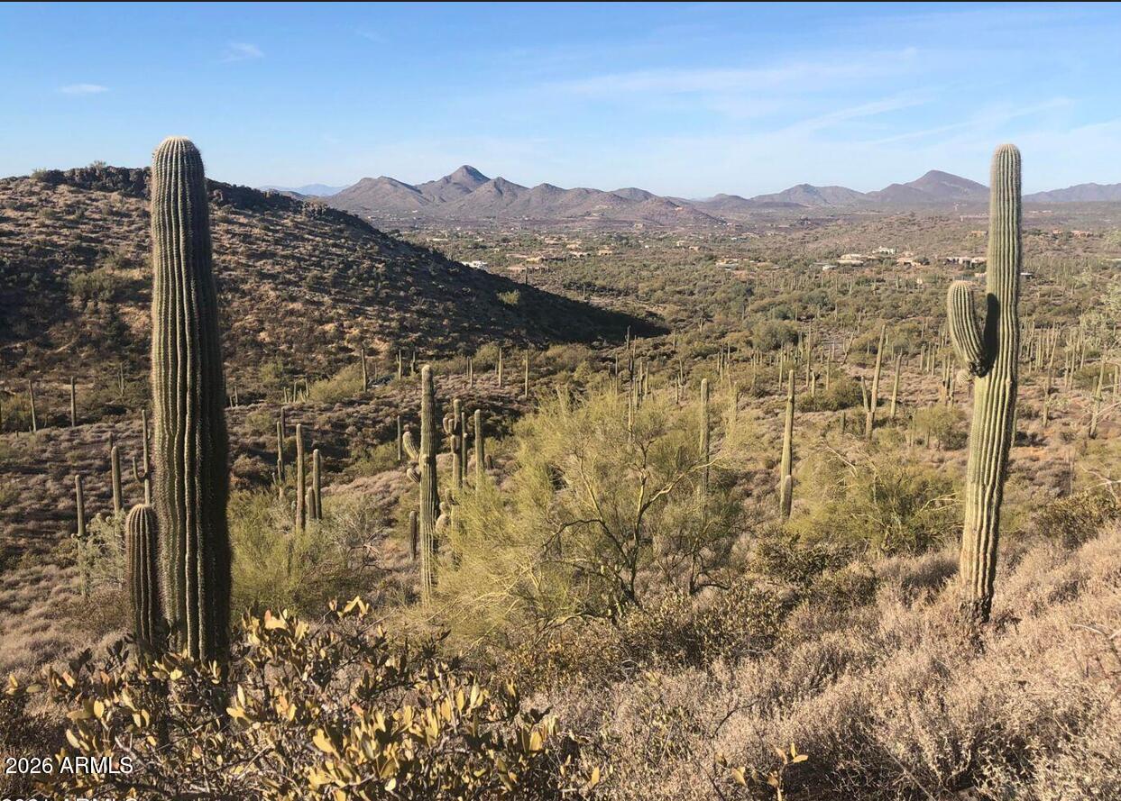 Land in Cave Creek 3