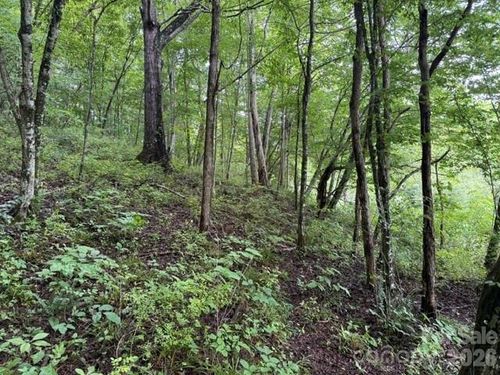 TBD Meadow Fork Rd, Hot Springs, NC, 28743 | Card Image