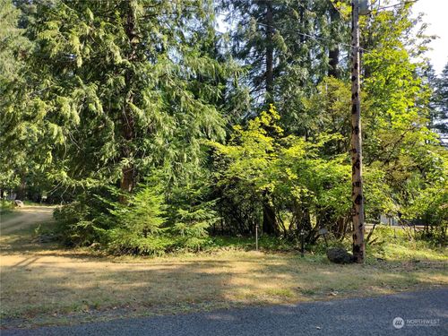 0 Lot 6 Crescent Beach Drive, Packwood, WA, 98361 | Card Image