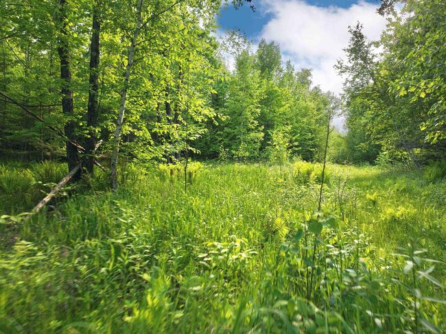 LOT 1 S Wiehe Rd, Home with 0 bedrooms, 0 bathrooms and null parking in POPLAR WI | Image 4
