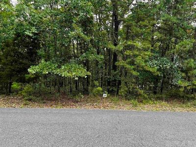 Lot 39 Bluff View Dr, Home with 0 bedrooms, 0 bathrooms and null parking in Quitman AR | Image 3