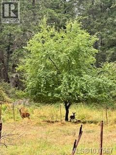 Land in Salt Spring 3