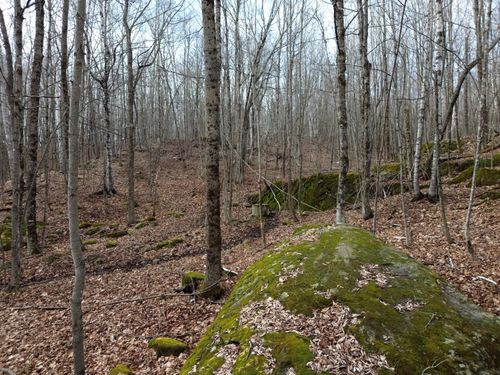 62 Grove Street, Dexter, ME, 04930 | Card Image