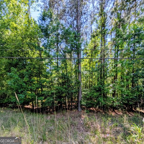 LOT 73 AND 238 Island Creek Dr W, Sparta, GA, 31087-6233 | Card Image