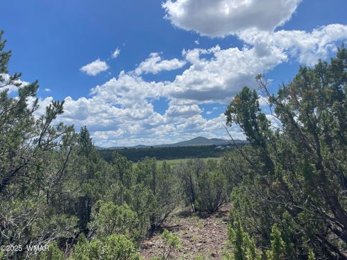 36 N3321, Vernon, AZ, 85940-0852 | Card Image