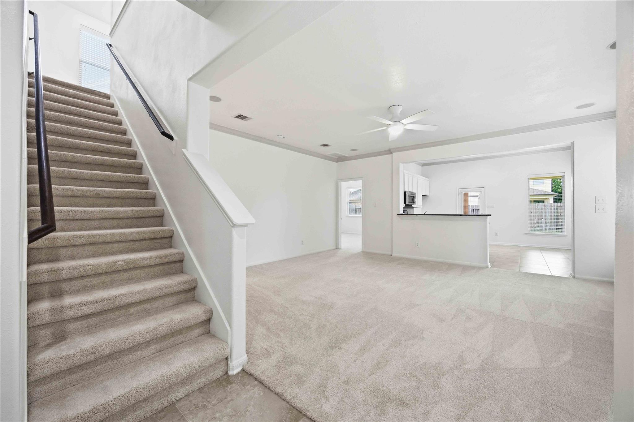 Residential in Cypress 4
