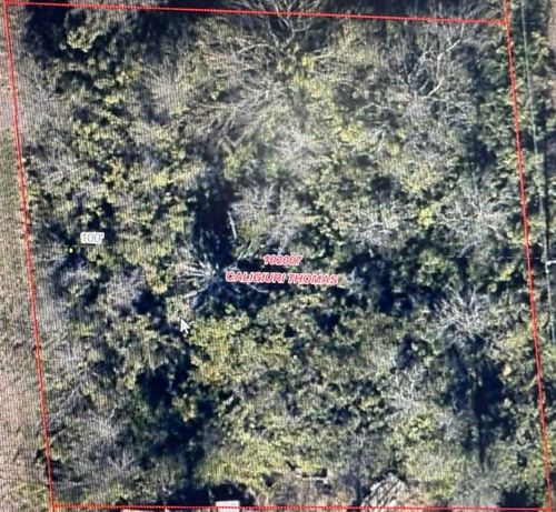 TBD LOT 121-122 Richard Drive, Gordonville, TX, 76245 | Card Image