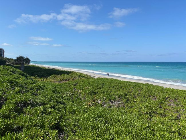 761 Ocean Dr, House other with 4 bedrooms, 4 bathrooms and null parking in Juno Beach FL | Image 46