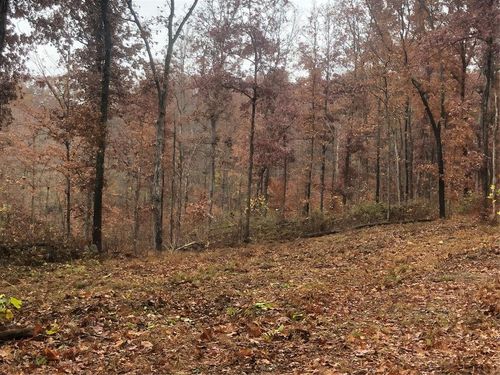 0 Anderson Rd, Shoals, IN, 47581 | Card Image