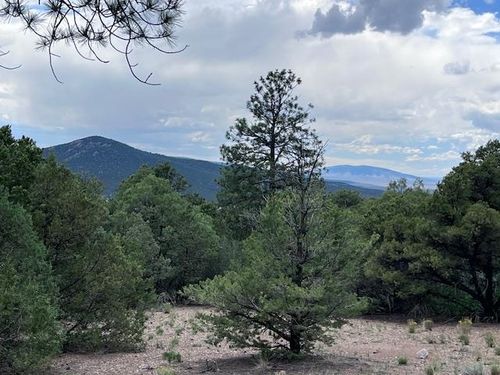 Lot 56 Upper Pinabette Rd, Questa, NM, 87556 | Card Image