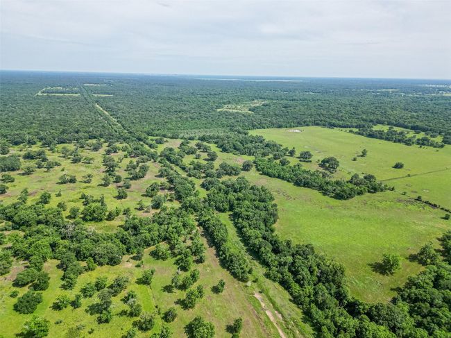 2015 Summers Rd, Home with 0 bedrooms, 0 bathrooms and null parking in Damon TX | Image 35