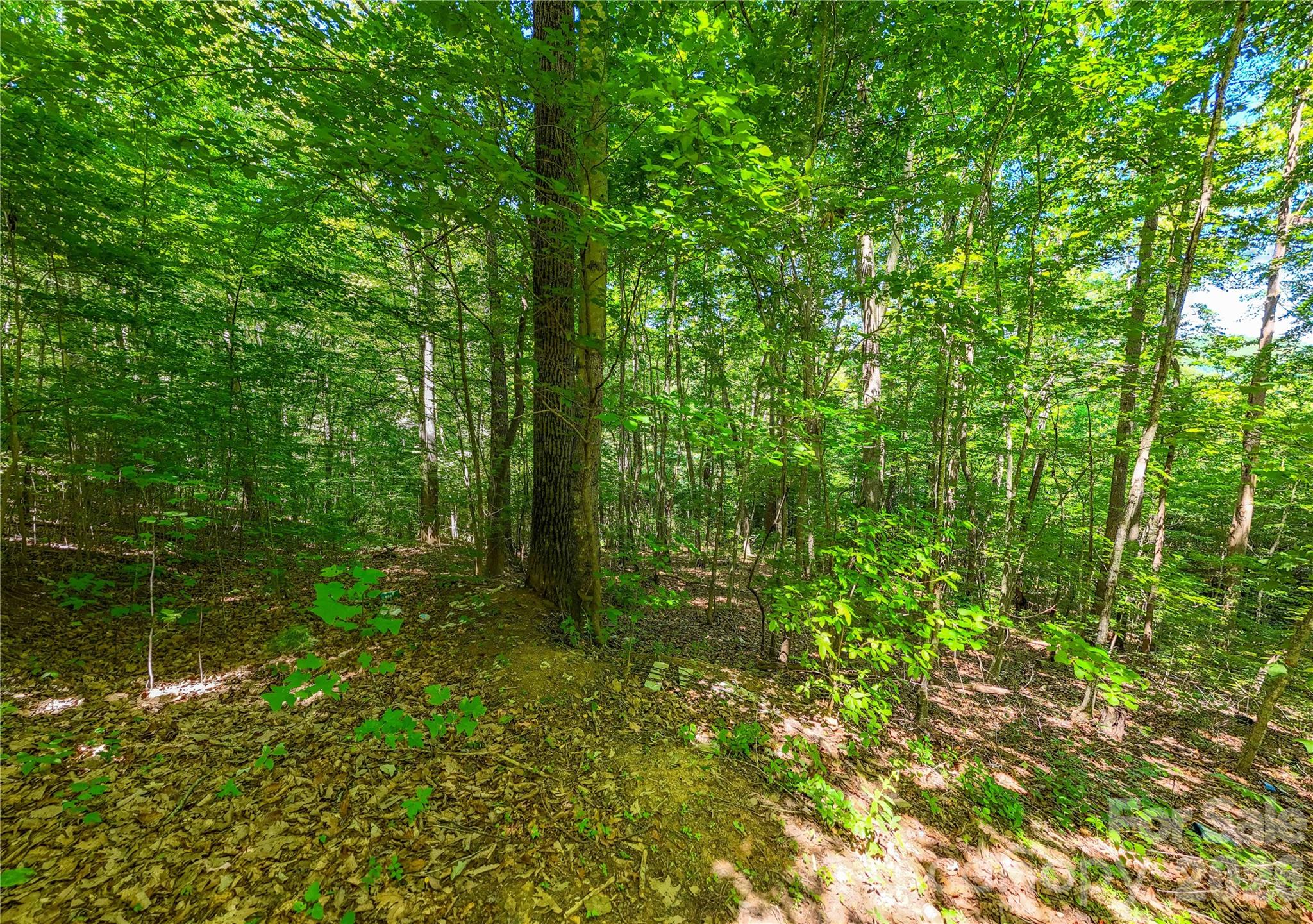 Land in Asheville 3